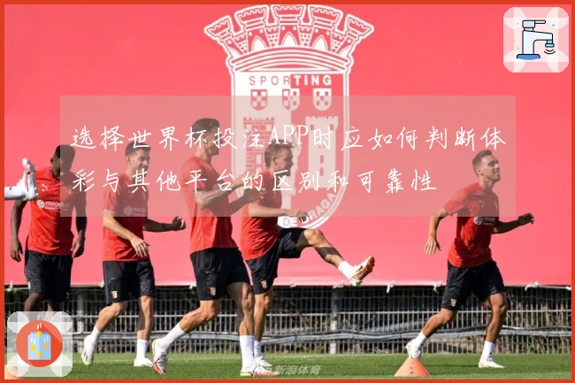选择世界杯投注APP时应如何判断体彩与其他平台的区别和可靠性
