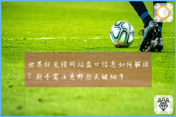 世界杯竞猜网站盘口信息如何解读？新手需注意哪些关键细节