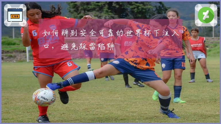 如何辨别安全可靠的世界杯下注入口，避免踩雷陷阱