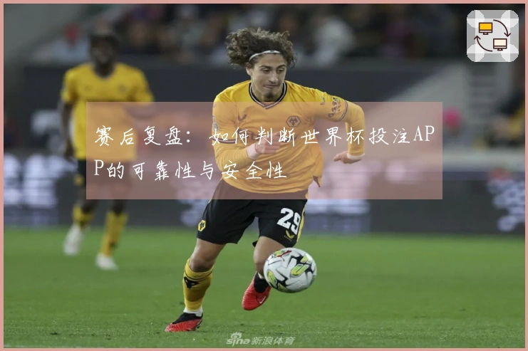 赛后复盘：如何判断世界杯投注APP的可靠性与安全性