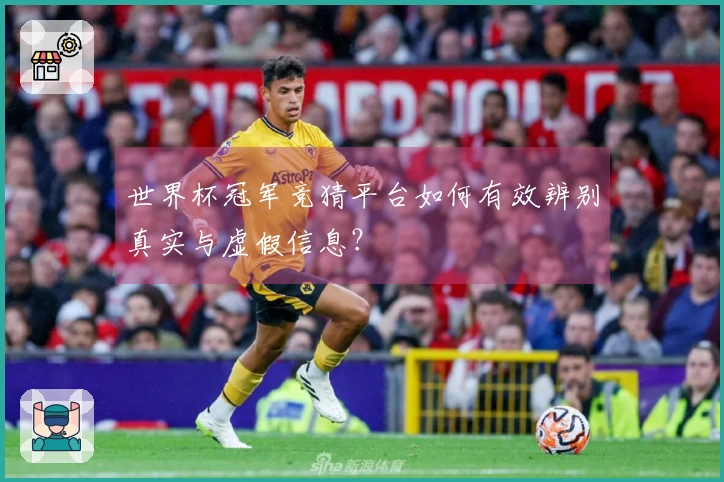 世界杯冠军竞猜平台如何有效辨别真实与虚假信息？