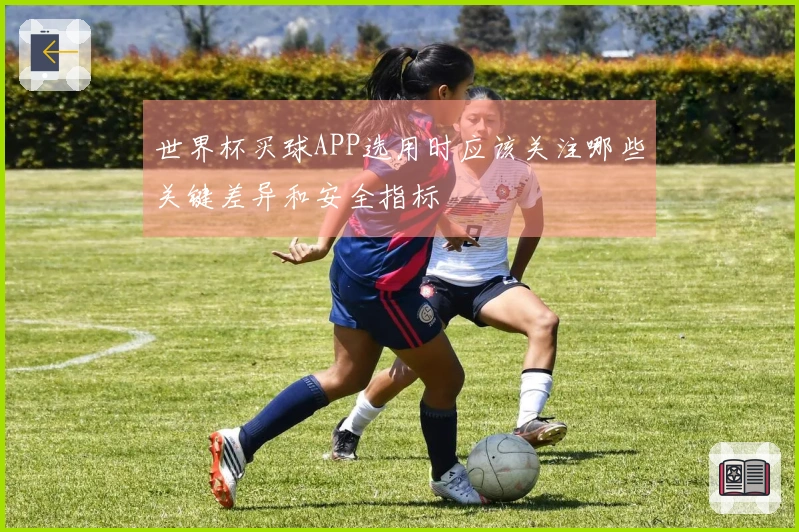 世界杯买球APP选用时应该关注哪些关键差异和安全指标