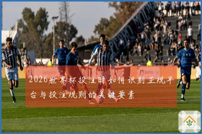 2026世界杯投注时如何识别正规平台与投注规则的关键要素