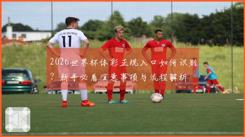 2026世界杯体彩正规入口如何识别？新手必看注意事项与流程解析