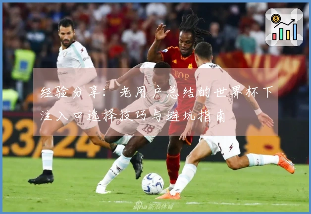 经验分享：老用户总结的世界杯下注入口选择技巧与避坑指南