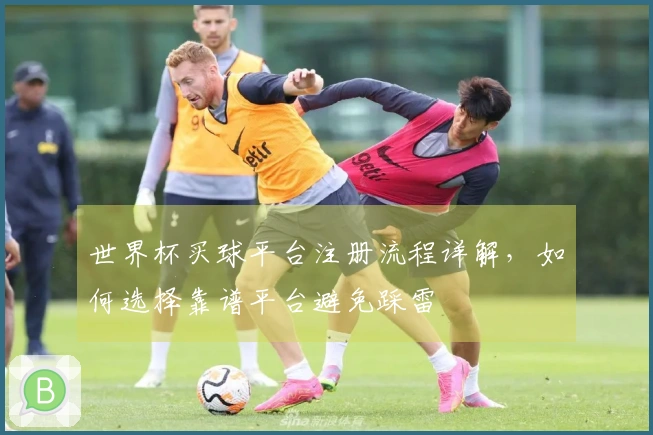 世界杯买球平台注册流程详解,如何选择靠谱平台避免踩雷