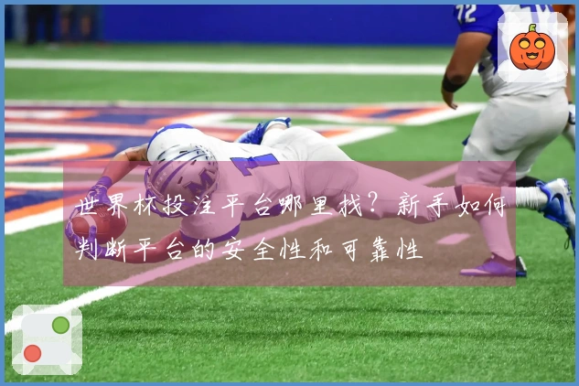 世界杯投注平台哪里找？新手如何判断平台的安全性和可靠性