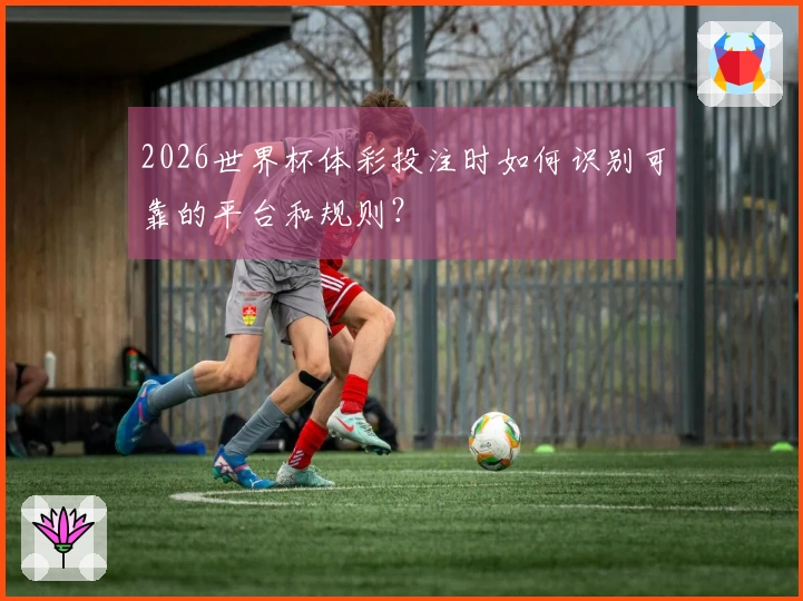 2026世界杯体彩投注时如何识别可靠的平台和规则？