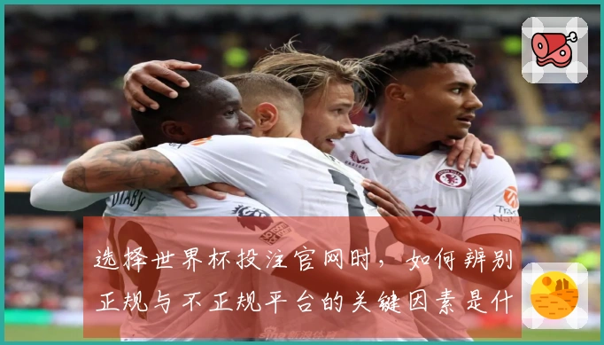 选择世界杯投注官网时，如何辨别正规与不正规平台的关键因素是什么？