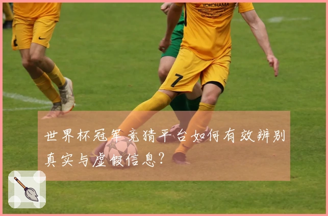 世界杯冠军竞猜平台如何有效辨别真实与虚假信息？