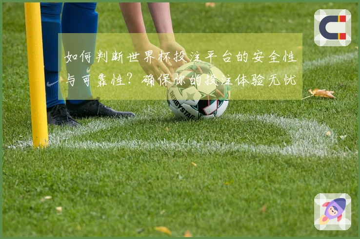 如何判断世界杯投注平台的安全性与可靠性?确保你的投注体验无忧!