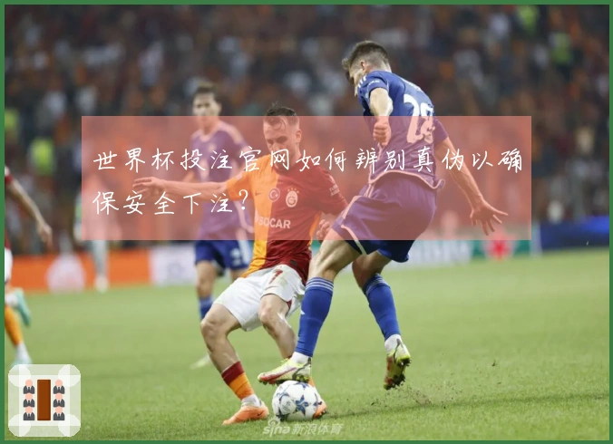 世界杯投注官网如何辨别真伪以确保安全下注?