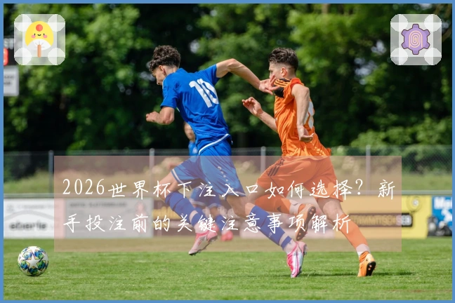 2026世界杯下注入口如何选择？新手投注前的关键注意事项解析