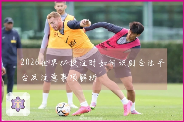 2026世界杯投注时如何识别合法平台及注意事项解析