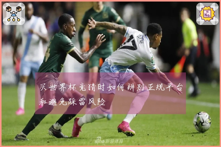 买世界杯竞猜时如何辨别正规平台和避免踩雷风险