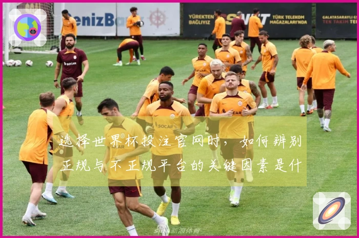选择世界杯投注官网时,如何辨别正规与不正规平台的关键因素是什么?