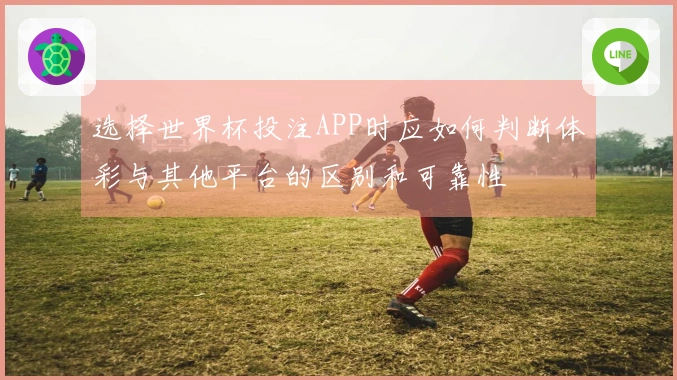 选择世界杯投注APP时应如何判断体彩与其他平台的区别和可靠性
