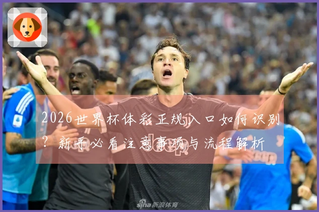 2026世界杯体彩正规入口如何识别？新手必看注意事项与流程解析