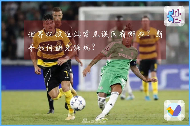 世界杯投注站常见误区有哪些？新手如何避免踩坑？