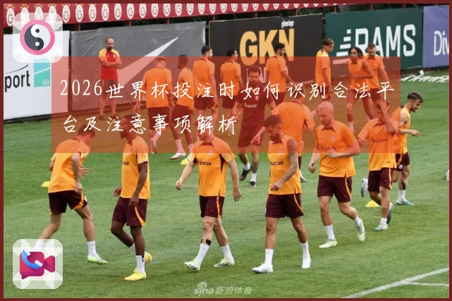 2026世界杯投注时如何识别合法平台及注意事项解析