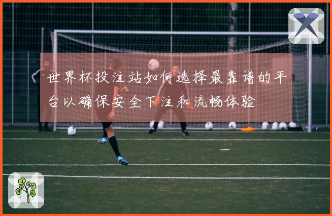 世界杯投注站如何选择最靠谱的平台以确保安全下注和流畅体验