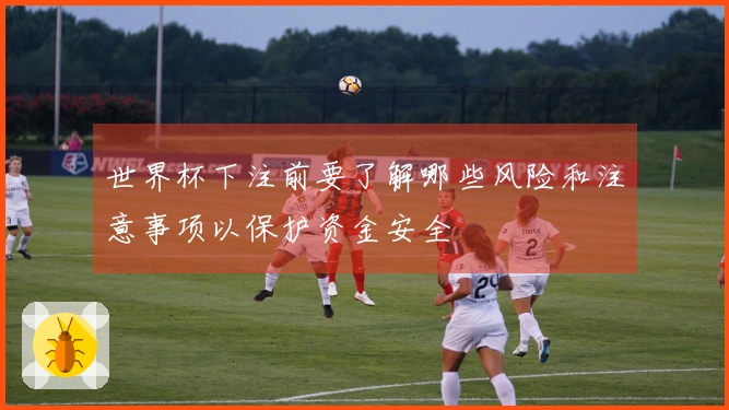 世界杯下注前要了解哪些风险和注意事项以保护资金安全