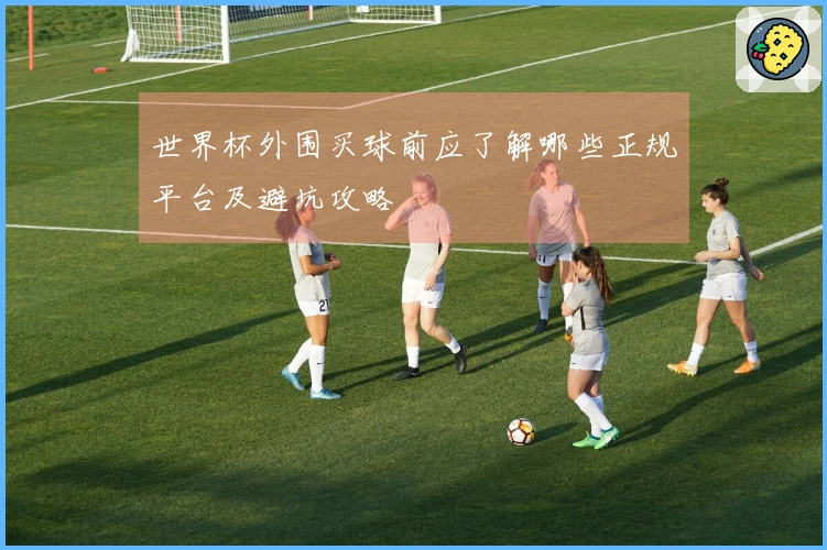 世界杯外围买球前应了解哪些正规平台及避坑攻略